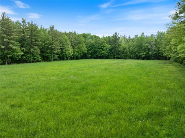 7269 County Road V, Marshfield, WI 54449 - view of grassy yard with a forest view