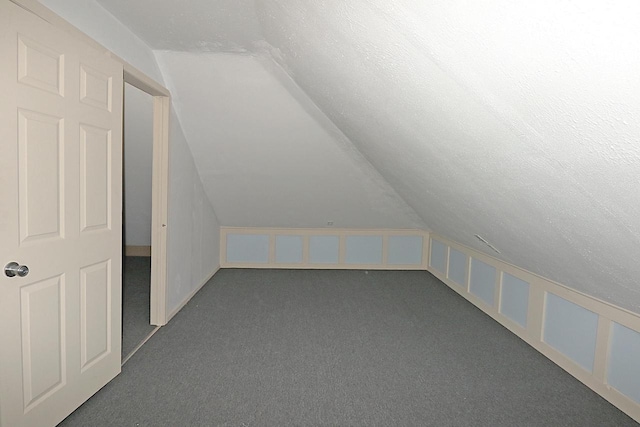 1416 Michigan Ave Unit 1416A, Sheboygan, WI 53081 - additional living space with lofted ceiling, dark colored carpet, and a textured ceiling