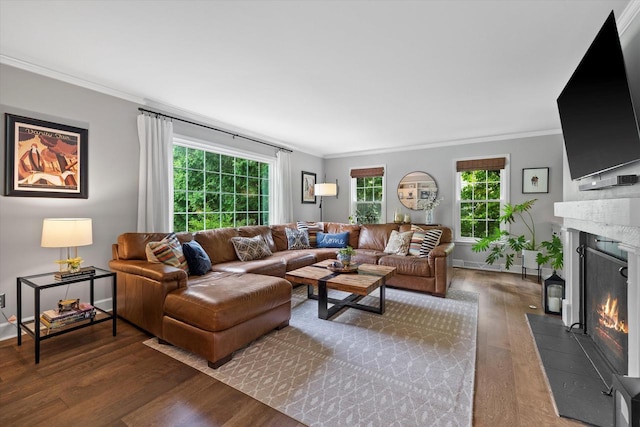 9848 N Lamplighter Ln, Mequon, WI 53092 - living area featuring dark wood-type flooring, ornamental molding, and a fireplace with flush hearth