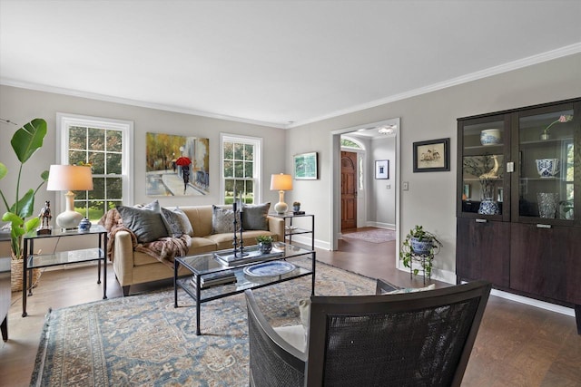 9848 N Lamplighter Ln, Mequon, WI 53092 - living room with healthy amount of natural light, crown molding, and wood finished floors