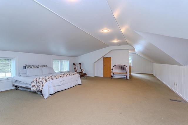 1119 W Grand Ave, Rothschild, WI 54474 - carpeted bedroom with lofted ceiling and multiple windows