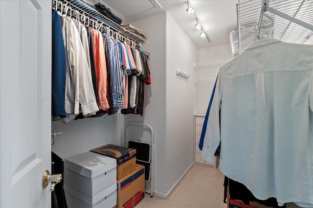 110985 Candlewood Ct, Marshfield, WI 54449 - spacious closet featuring light carpet