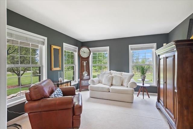 110985 Candlewood Ct, Marshfield, WI 54449 - living area with carpet