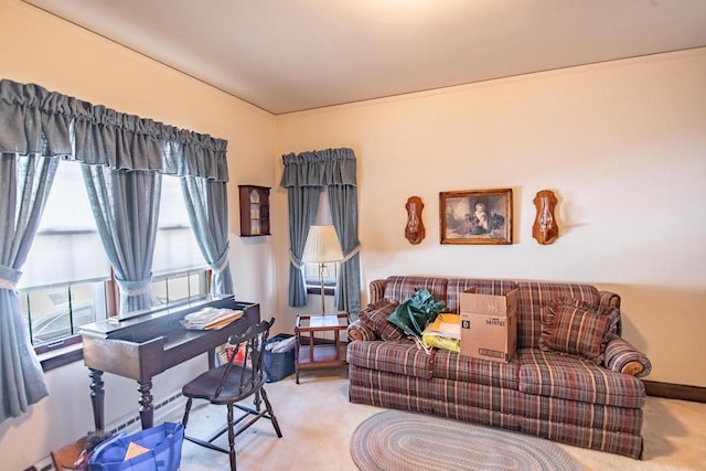 7414 5th Ave, Kenosha, WI 53143 - view of carpeted living area