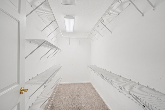 5682 Steeplechase Dr, Waunakee, WI 53597 - spacious closet featuring carpet floors