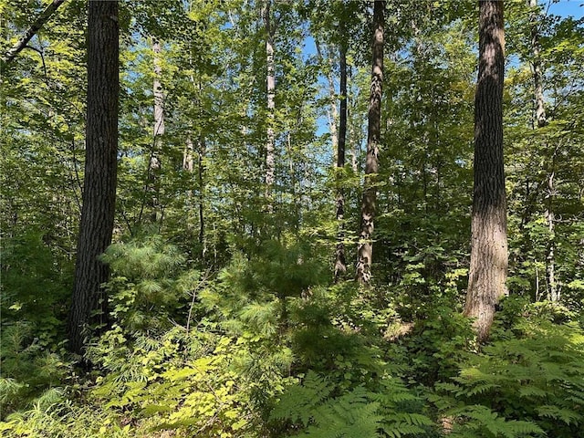 0 E Wilderness Ct, Barnes, WI 54873