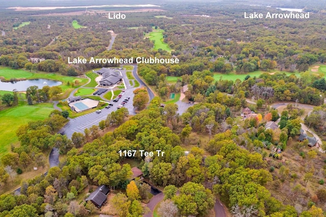 1167 Tee Trl, Nekoosa, WI 54457 - aerial overview of property's location featuring a large body of water