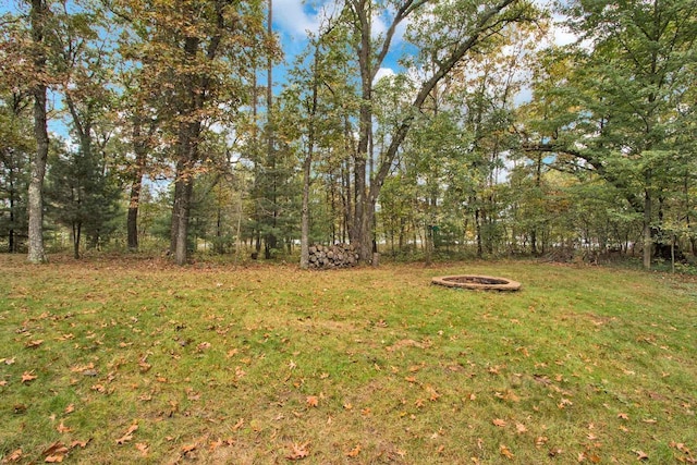 1167 Tee Trl, Nekoosa, WI 54457 - view of grassy yard with a fire pit