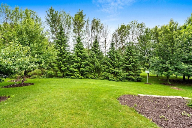 N3520 Range Ct, Freedom, WI 54913 - view of green lawn