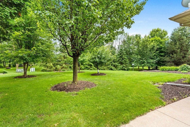 N3520 Range Ct, Freedom, WI 54913 - view of green lawn