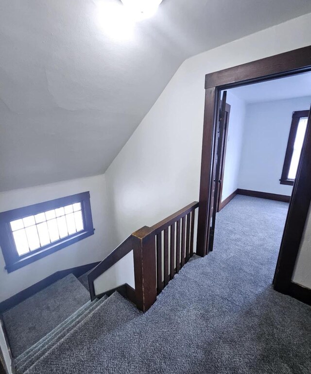 staircase featuring lofted ceiling, carpet floors, and healthy amount of natural light