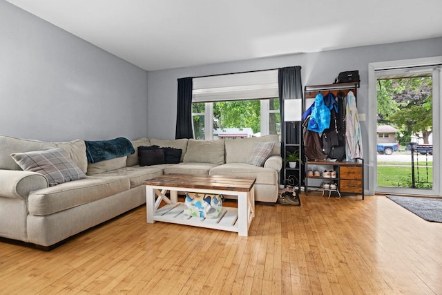 1012 Grove St, Oshkosh, WI 54901 - living area featuring healthy amount of natural light and wood-type flooring