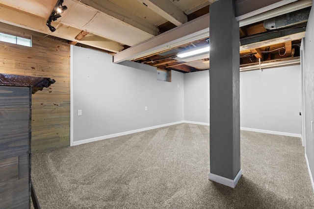 1012 Grove St, Oshkosh, WI 54901 - finished below grade area featuring wooden walls and carpet