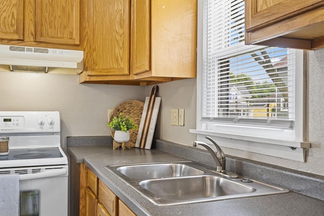 308 Van St, Neenah, WI 54956 - kitchen with white electric stove and under cabinet range hood