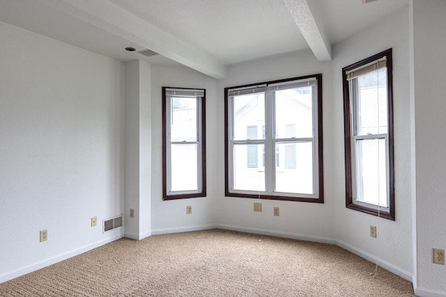 524 W New York Ave, Oshkosh, WI 54901 - empty room featuring beam ceiling, healthy amount of natural light, and light carpet