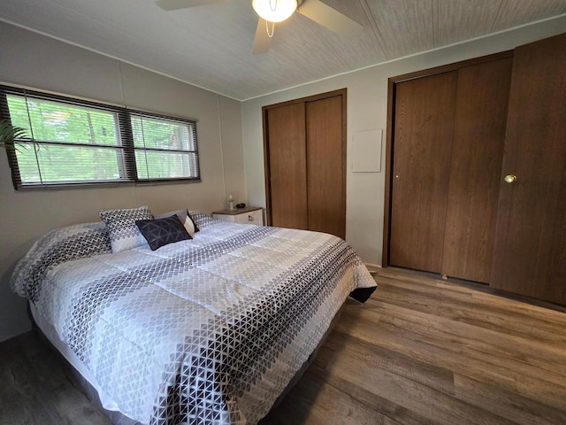 N11445 County Road A, Tomahawk, WI 54487 - bedroom with wood finished floors, multiple closets, and a ceiling fan