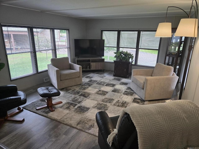 N11445 County Road A, Tomahawk, WI 54487 - living area with wood finished floors and plenty of natural light