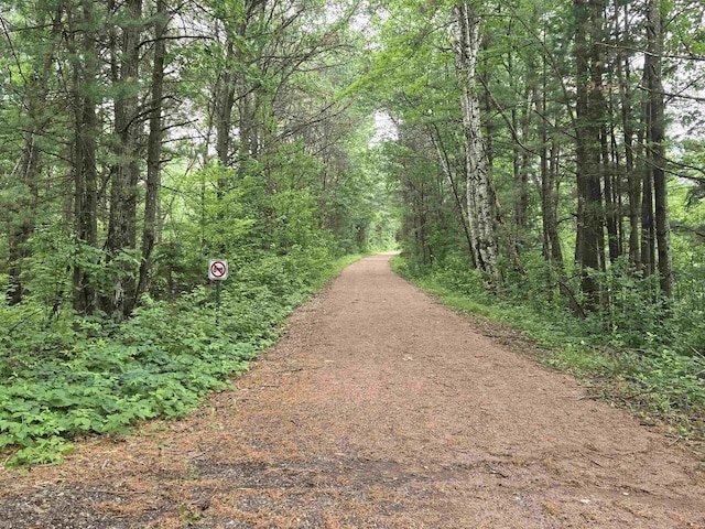 N11445 County Road A, Tomahawk, WI 54487 - view of road with a forest view