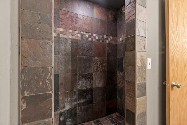 362 Dakota Lee Way, Omro, WI 54963 - bathroom featuring a tile shower