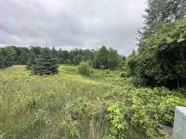 LOT41 Point Trl, Wisconsin Rapids, WI 54494