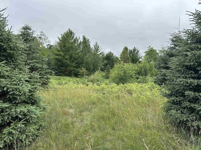 LOT41 Point Trl, Wisconsin Rapids, WI 54494