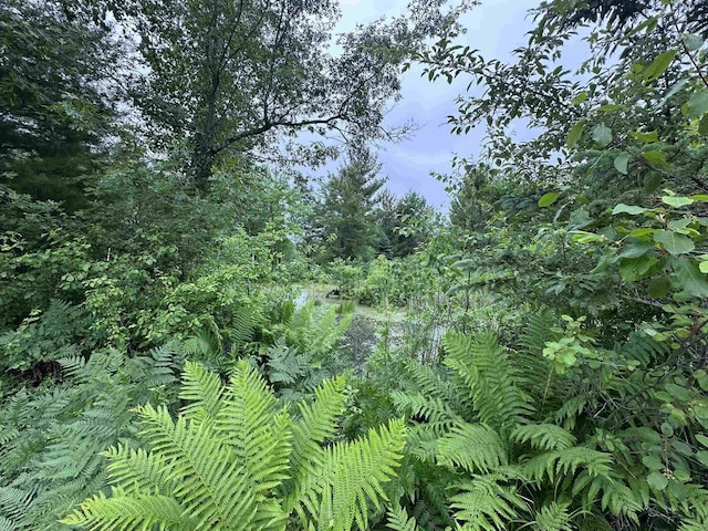 LOT41 Point Trl, Wisconsin Rapids, WI 54494
