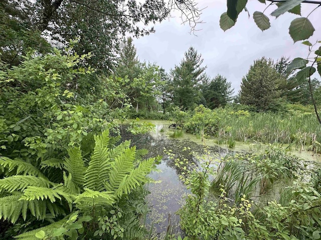 LOT41 Point Trl, Wisconsin Rapids, WI 54494