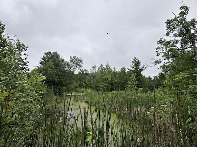 LOT41 Point Trl, Wisconsin Rapids, WI 54494