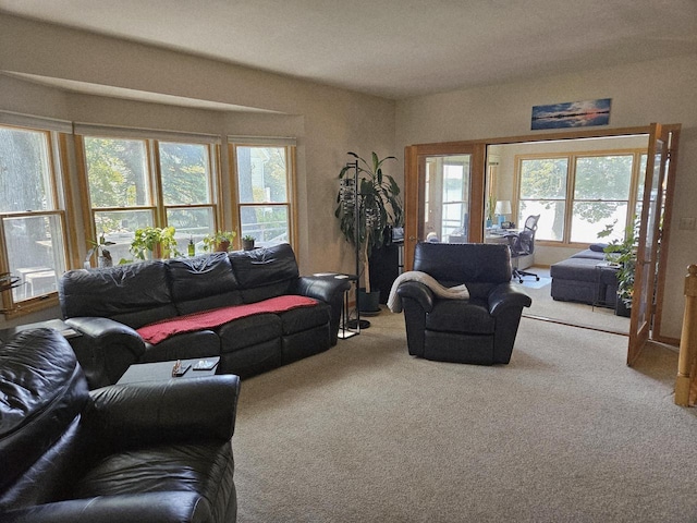 N65W35097 Rd J, Oconomowoc, WI 53066 - carpeted living area featuring plenty of natural light