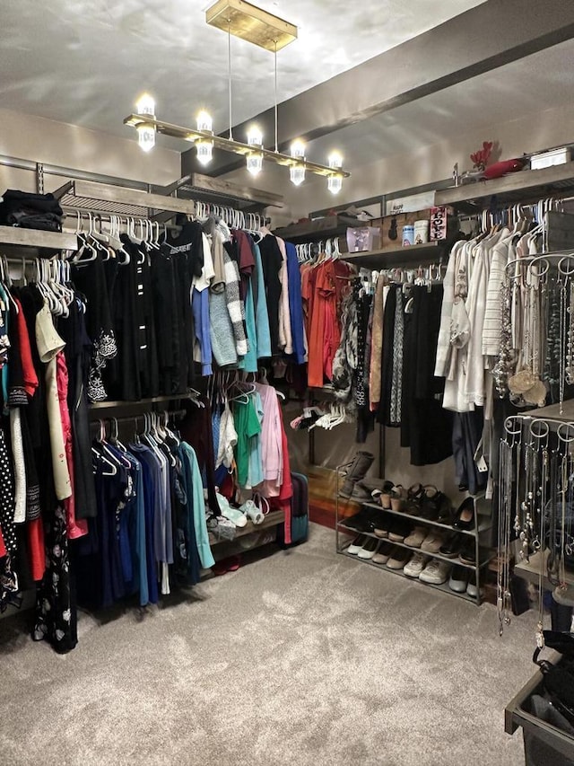 8221 Fairmont Ln, Greendale, WI 53129 - walk in closet featuring carpet flooring