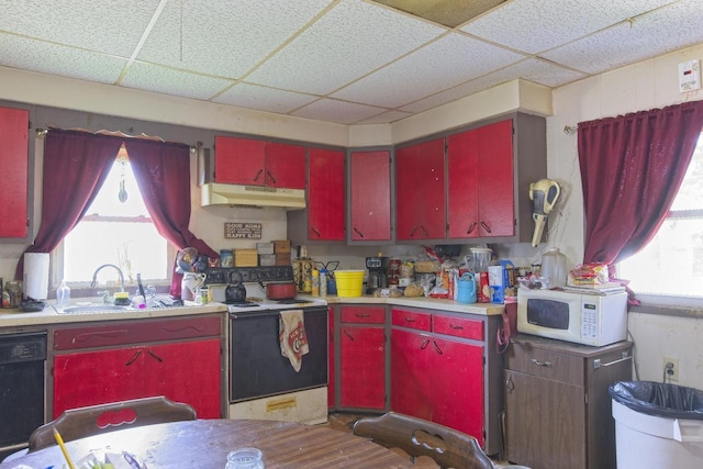 134 N Watertown St, Waupun, WI 53963 - kitchen with red cabinets, white appliances, under cabinet range hood, a drop ceiling, and light countertops
