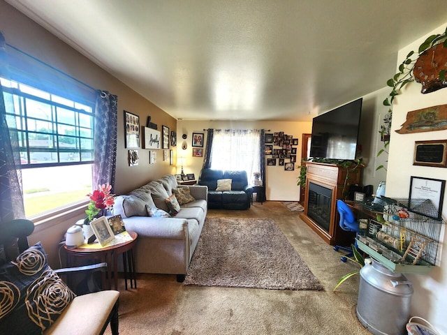 5100 16th St, Racine, WI 53406 - carpeted living area featuring a glass covered fireplace