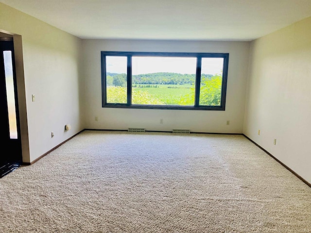5572 Stable View Ln, Fitchburg, WI 53575 - spare room with carpet flooring
