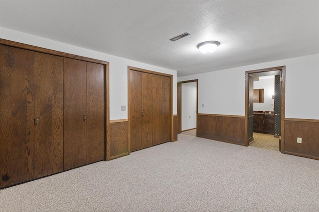 5572 Stable View Ln, Fitchburg, WI 53575 - unfurnished bedroom featuring wainscoting, wooden walls, two closets, carpet, and ensuite bathroom