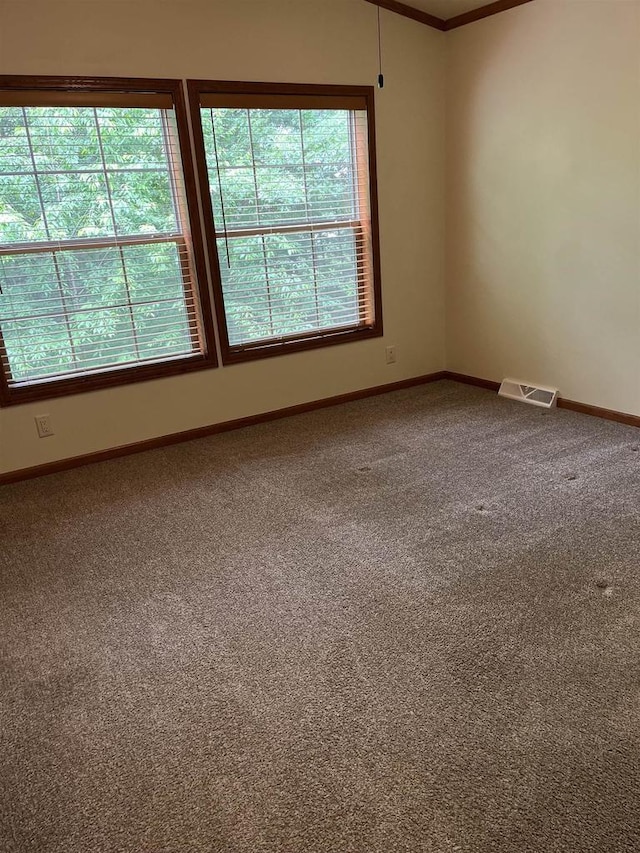 N13403 US Highway 141, Wausaukee, WI 54177 - spare room featuring carpet and ornamental molding