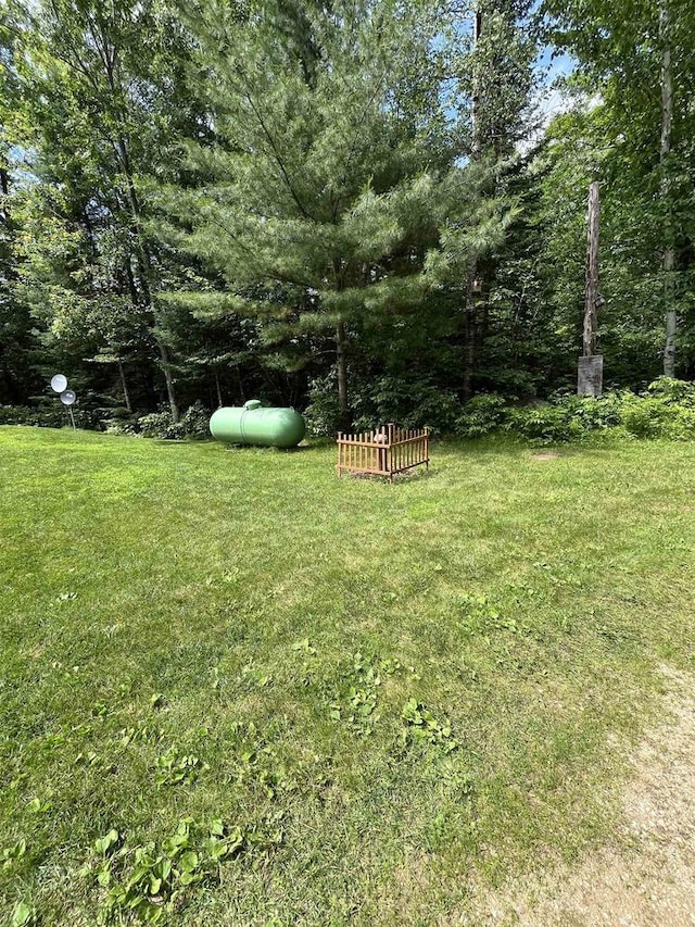 N13403 US Highway 141, Wausaukee, WI 54177 - view of green lawn