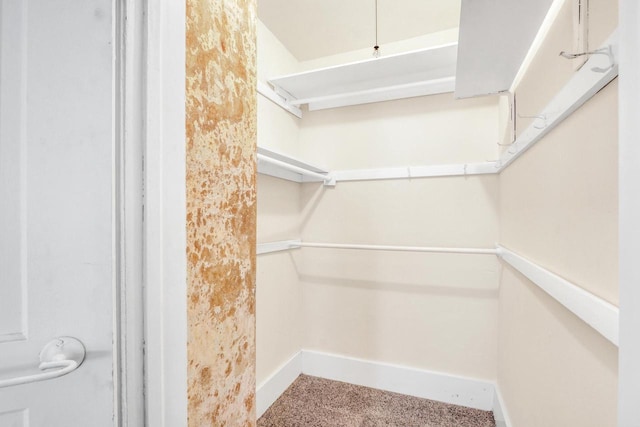 822 12th Ave, Union Grove, WI 53182 - walk in closet with carpet floors