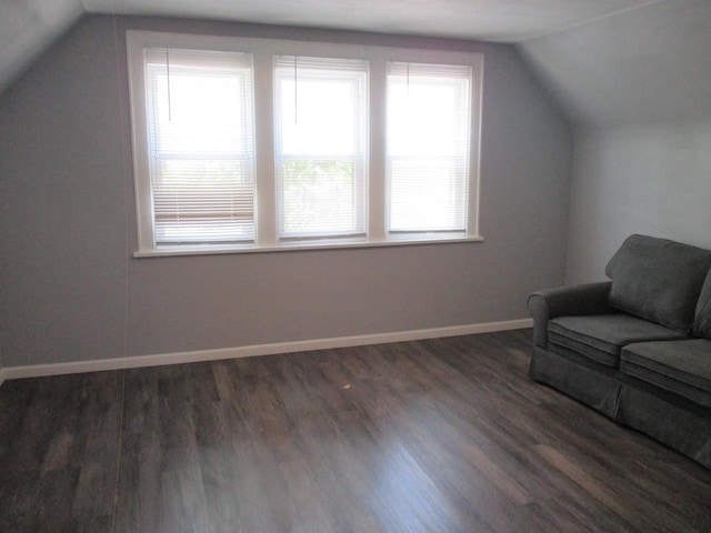 2116 W Atkinson Ave Unit 2116A, Milwaukee, WI 53209 - additional living space featuring vaulted ceiling and wood finished floors
