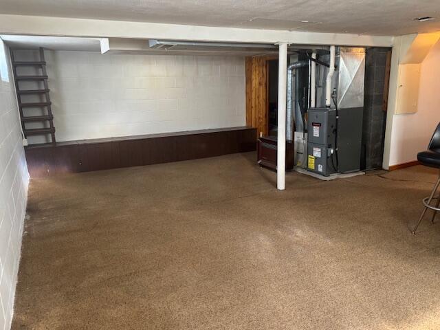 3681 S 5th St, Milwaukee, WI 53207 - finished below grade area featuring heating unit, concrete block wall, and carpet flooring