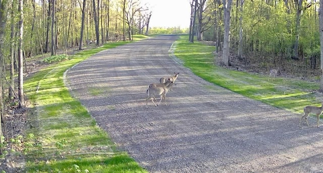 LOT1 Oak Knoll Rd, Burlington, WI 53105