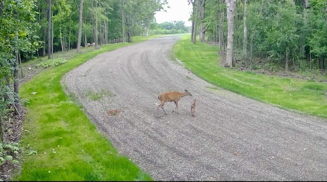 LOT1 Oak Knoll Rd, Burlington, WI 53105