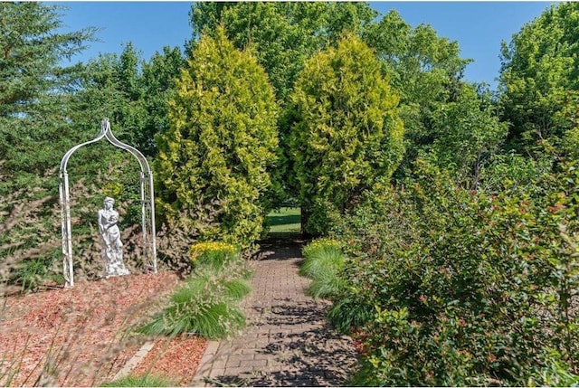 851 174th Ave, New Richmond, WI 54017 - view of yard