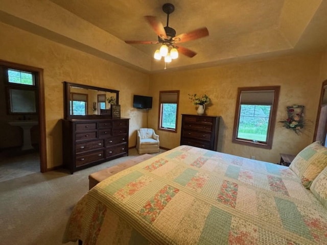 4920 N Meade St, Appleton, WI 54913 - bedroom with multiple windows, a raised ceiling, carpet, and a ceiling fan