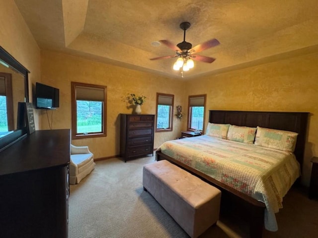 4920 N Meade St, Appleton, WI 54913 - bedroom with light carpet, a tray ceiling, and ceiling fan