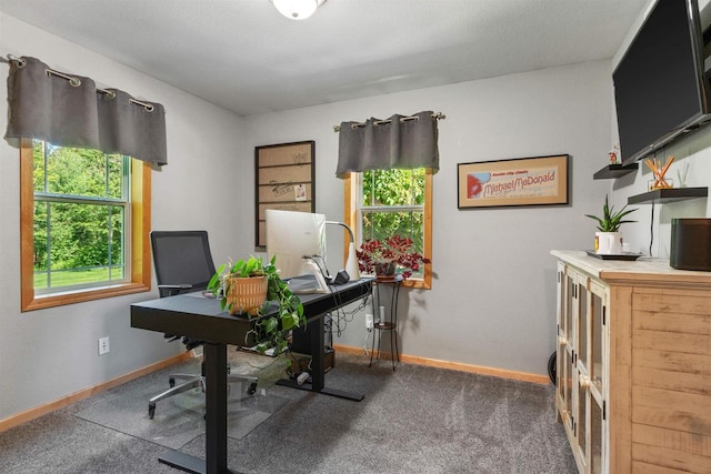 4570 Hawk Haven Rd, Stevens Point, WI 54482 - carpeted office featuring plenty of natural light