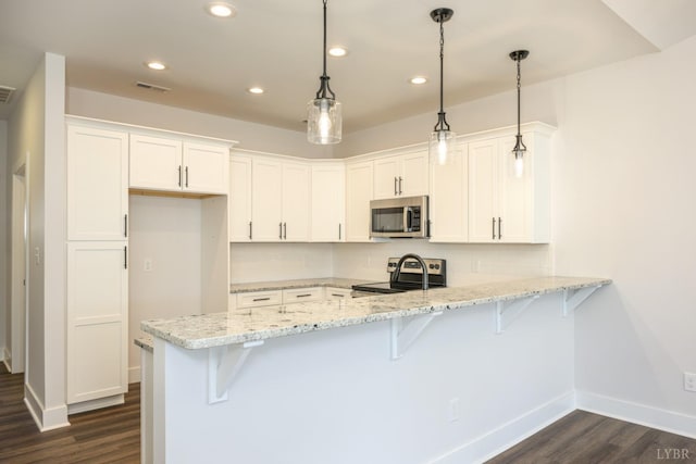 119 Lockridge Ln, Lynchburg, VA 24502 - kitchen with stainless steel appliances, a peninsula, dark wood finished floors, baseboards, and recessed lighting