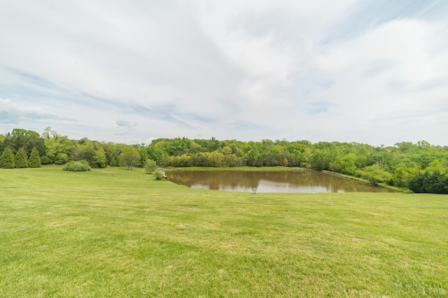 7821 Bellevue Rd, Forest, VA 24551 - view of yard featuring a water view