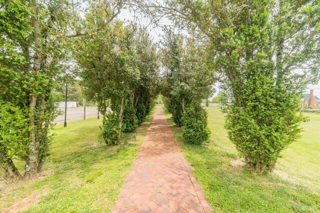 7821 Bellevue Rd, Forest, VA 24551 - view of yard