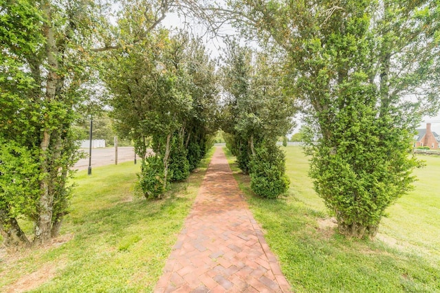 7821 Bellevue Rd, Forest, VA 24551 - view of street