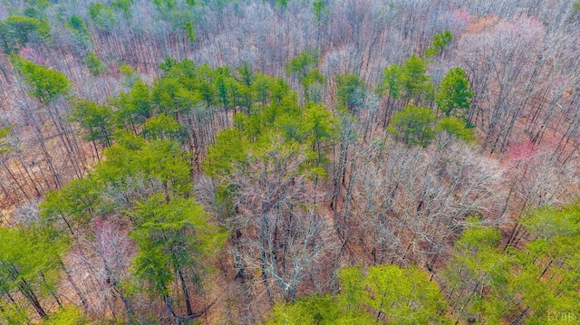0 Thistle Rd, Rustburg, VA 24588